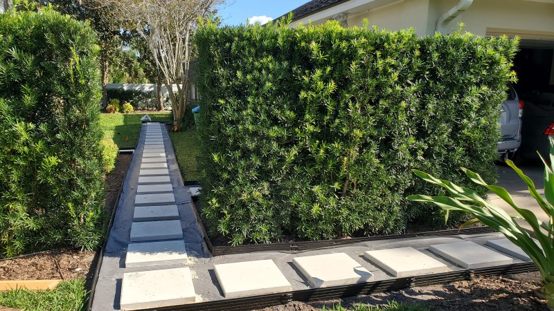 Hedge trimming