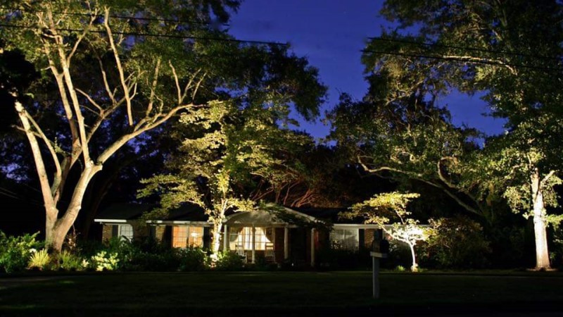 Landscape lighting Tree of Life