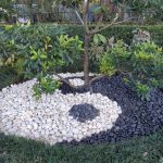 Garden and landscaping design and installation by Tree Of Life