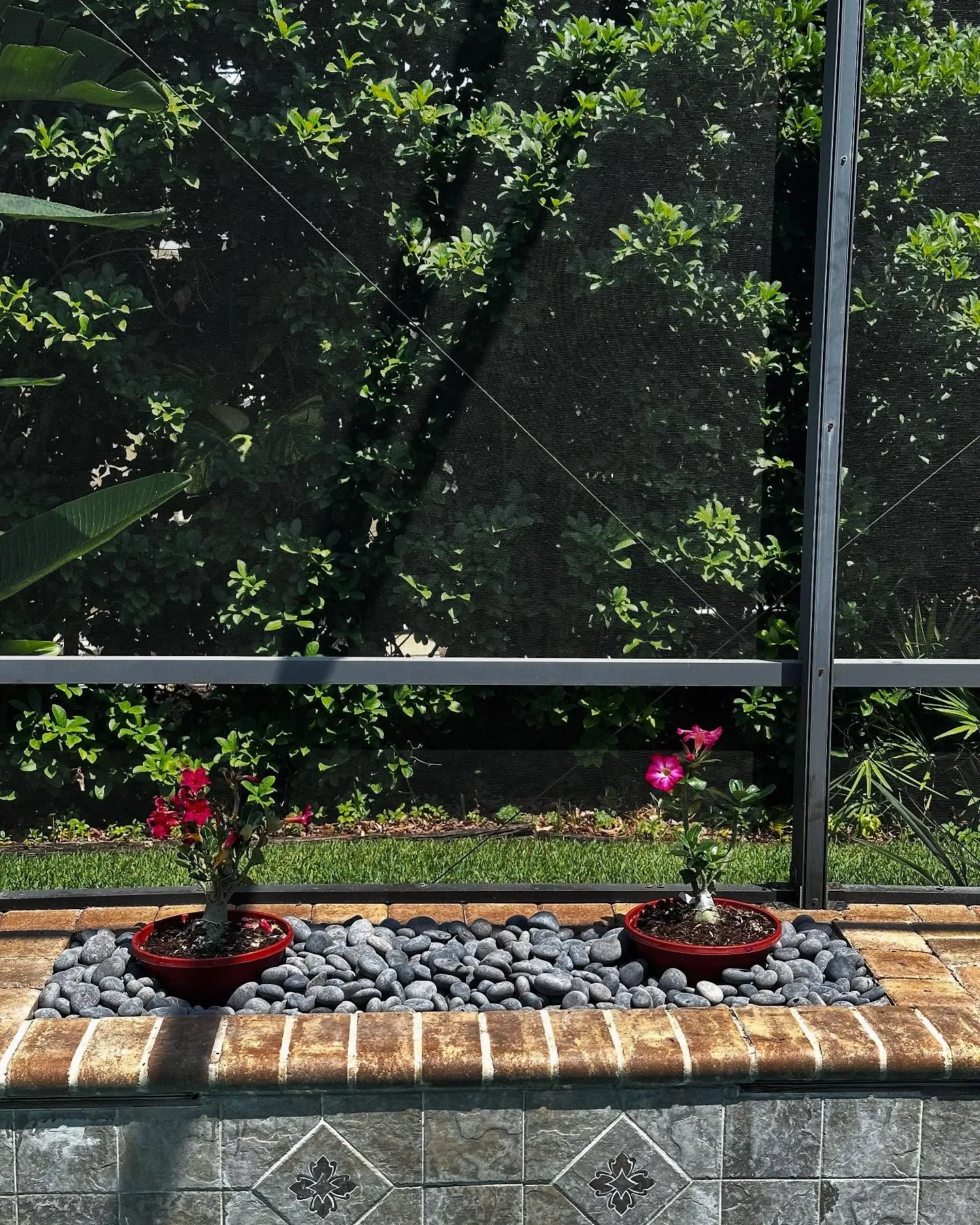 Paver Patios
