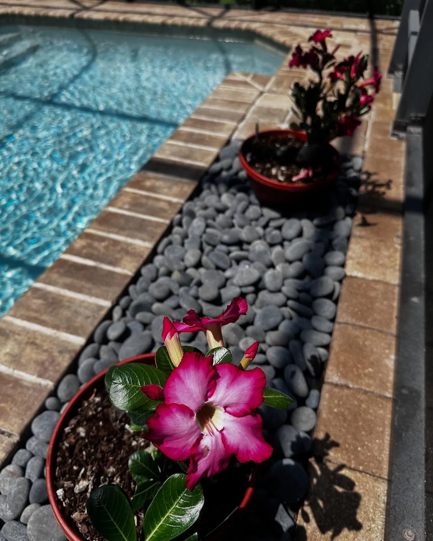 Paver Borders